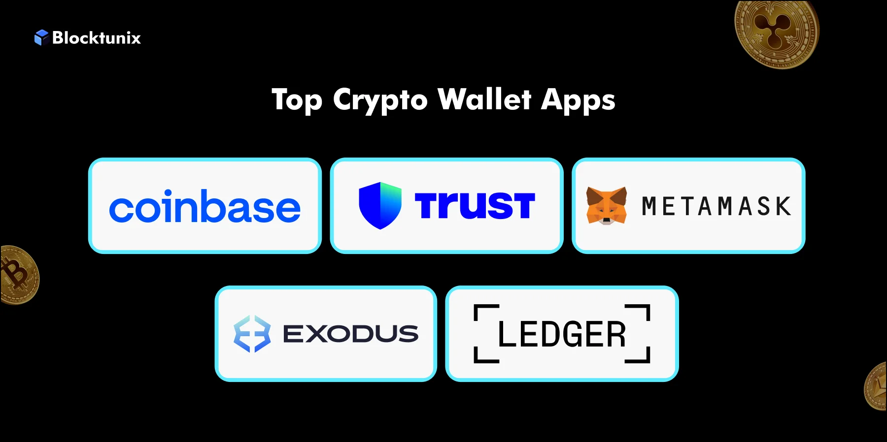 Case Studies of Successful Crypto Wallets 