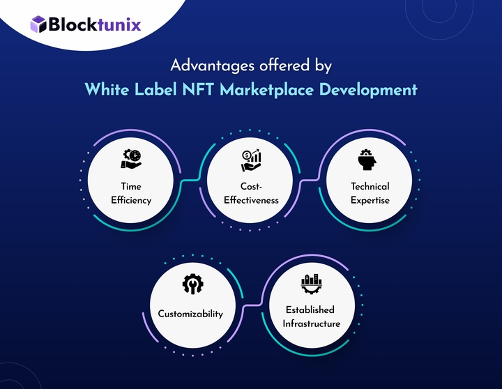 Advantages White Label NFT Marketplace offer over the traditional approach 