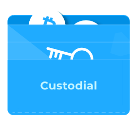 Custodial Crypto Wallets