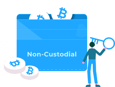 Non Custodial Wallets