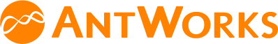 Company Name
