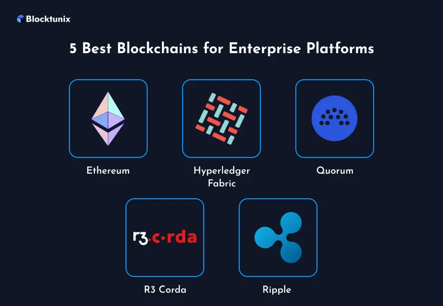 Blockchains Enterprise Platforms