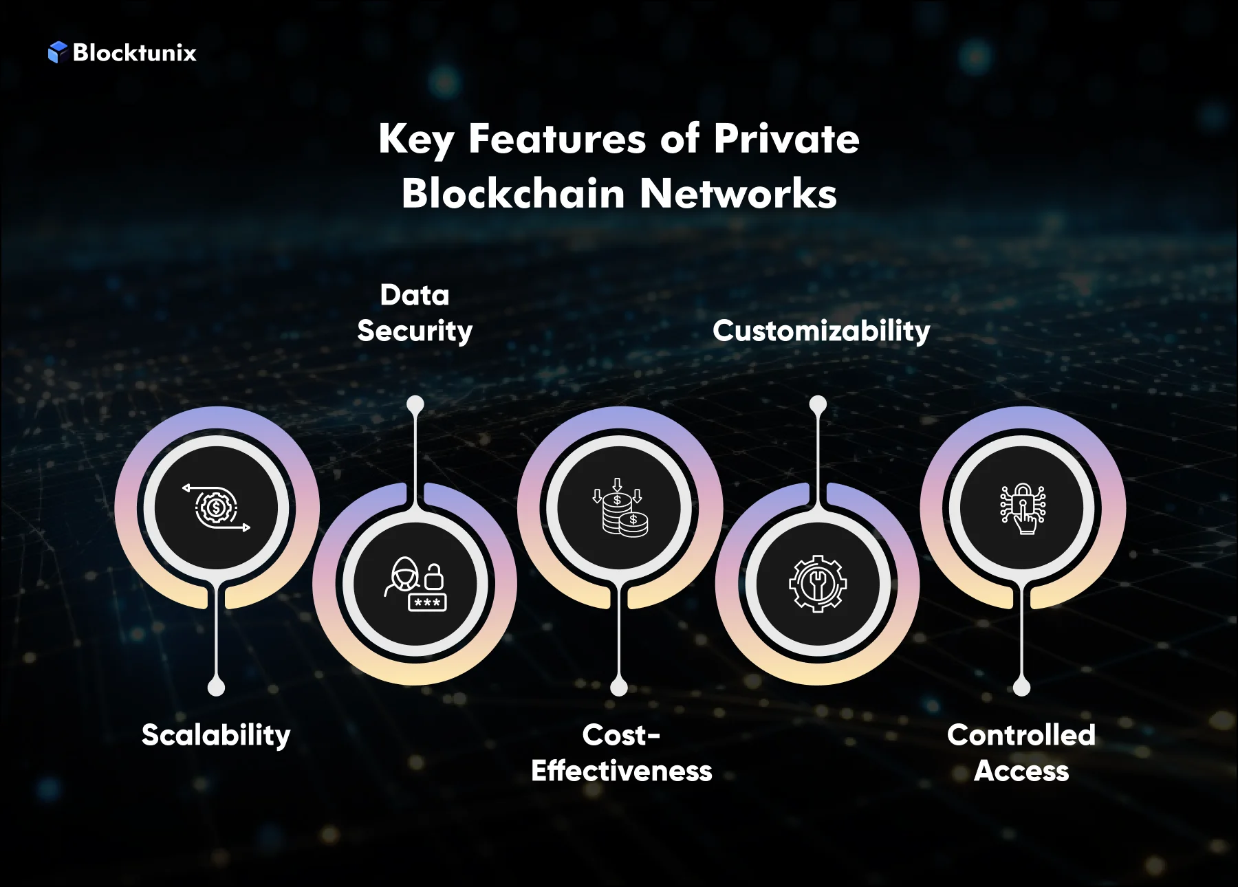 Key Features of Private Blockchain Networks 